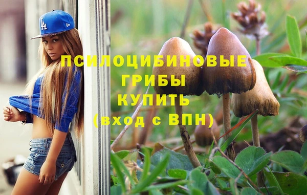 a pvp Алексеевка