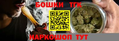 jwh Бийск