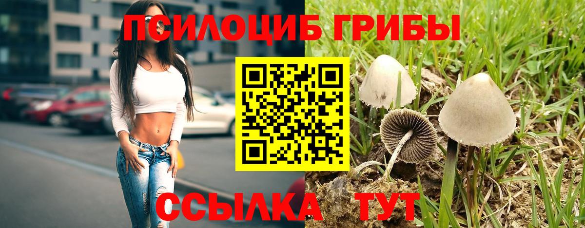 Галлюциногенные грибы GOLDEN TEACHER Борзя