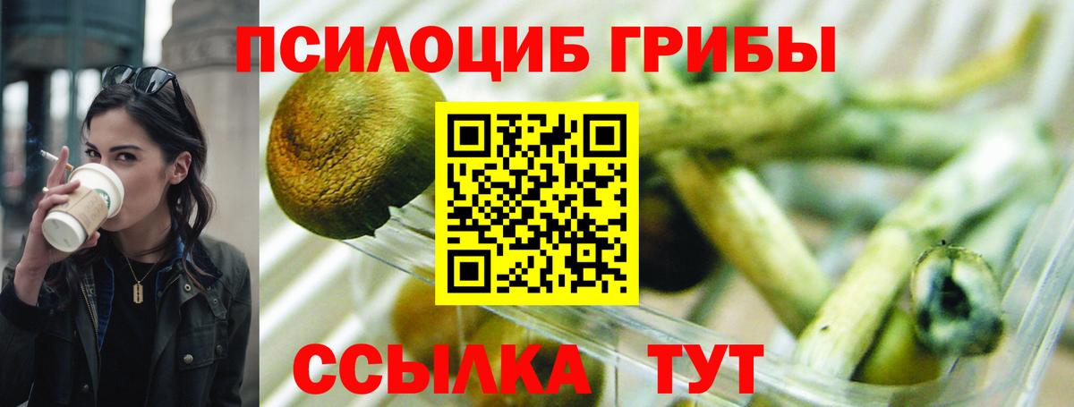 Борзя  Псилоцибиновые грибы Magic Shrooms  Псилоцибиновые грибы MAGIC MUSHROOMS  Вход с VPN 